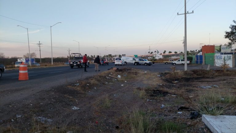 WhatsApp Image 2025-01-10 at 8.07.21 AM