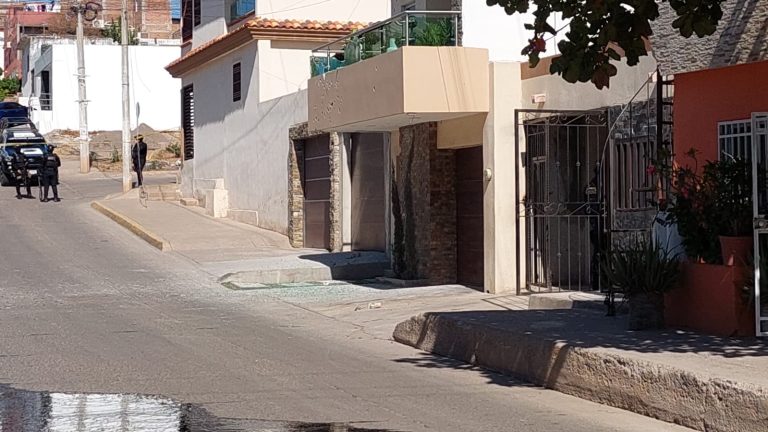 WhatsApp Image 2025-01-11 at 1.44.28 PM