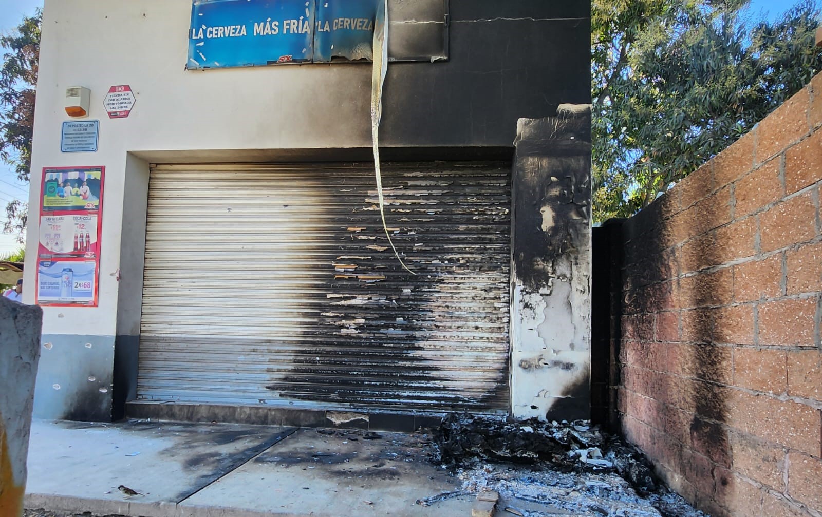 WhatsApp Image 2025-01-12 at 12.30.21 PM