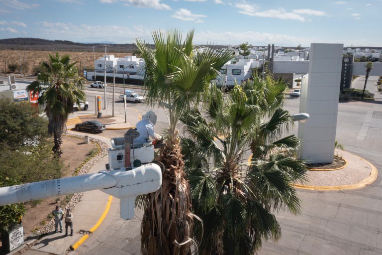 WhatsApp Image 2025-01-12 at 7.05.49 PM