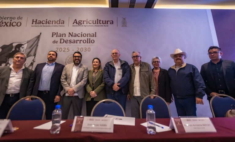 WhatsApp Image 2025-01-13 at 1.42.24 PM