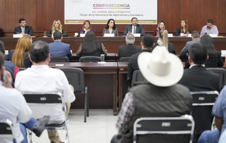 WhatsApp Image 2025-01-15 at 2.46.04 PM