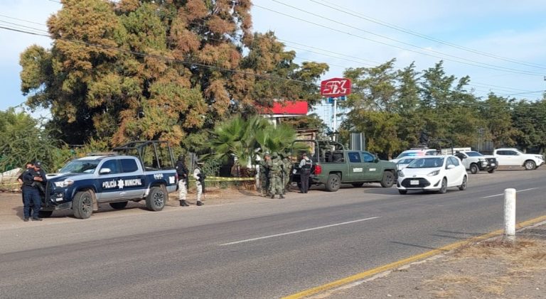 WhatsApp Image 2025-01-16 at 9.41.24 AM