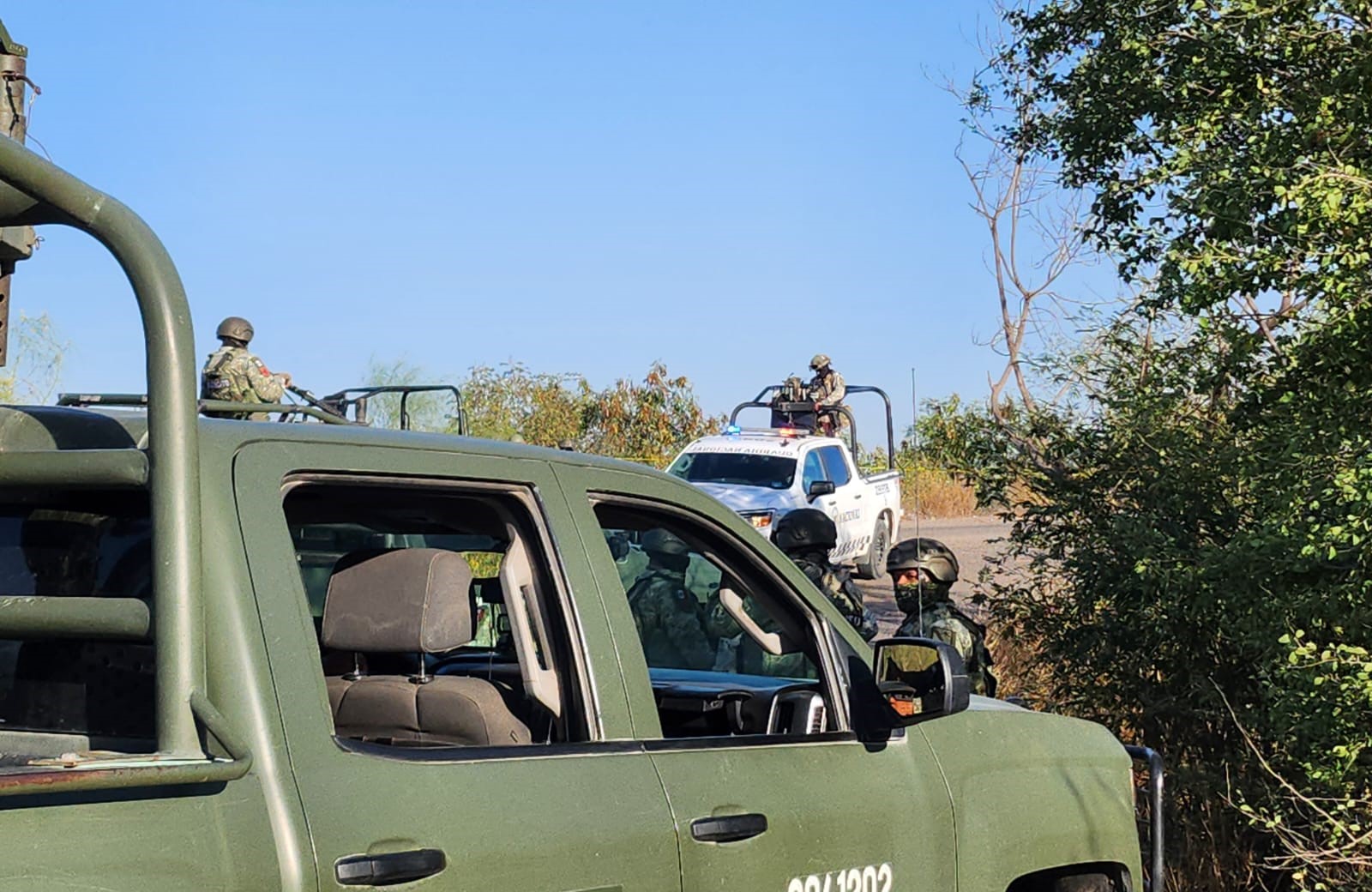 WhatsApp Image 2025-01-30 at 5.39.05 PM