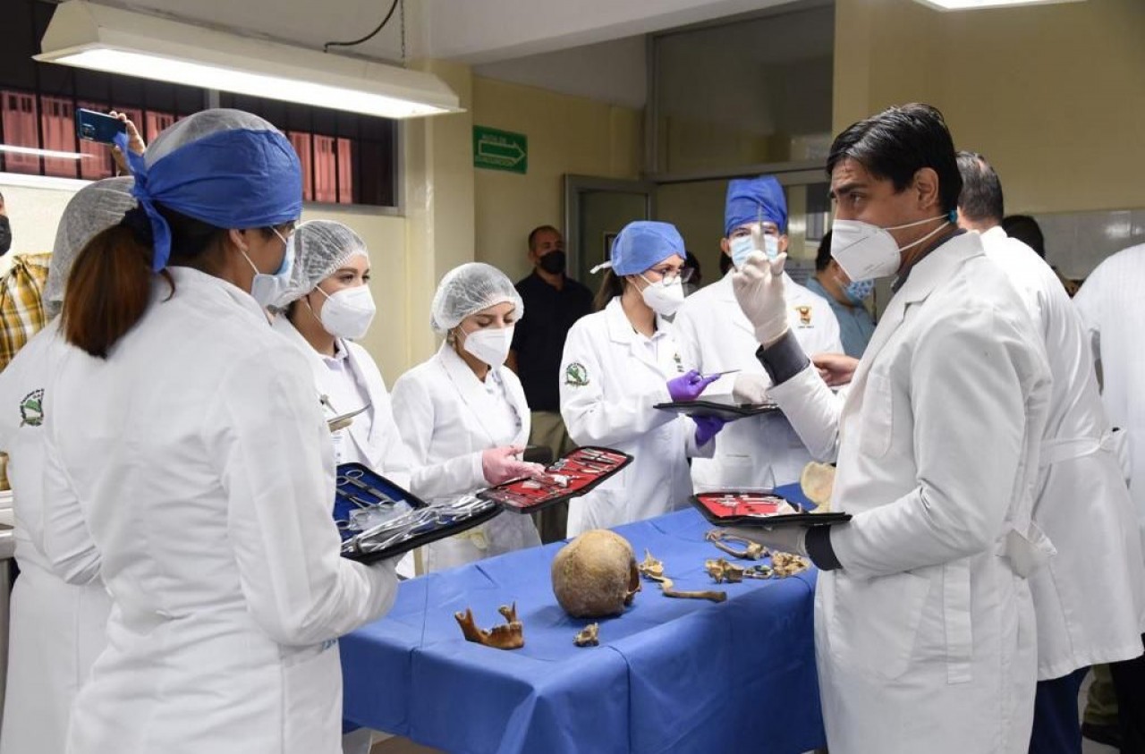 Cursos (1)