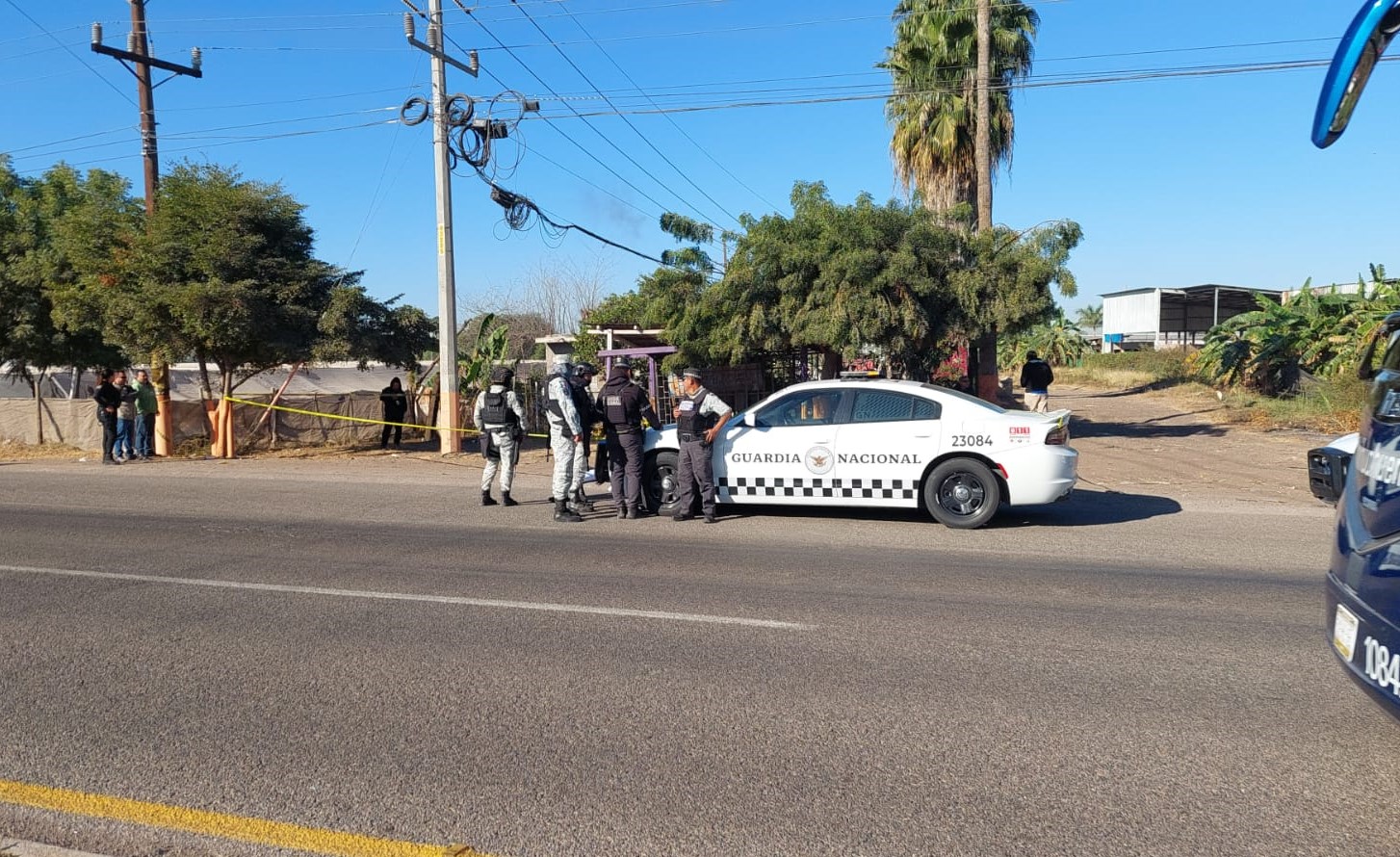 WhatsApp Image 2025-02-13 at 10.01.12 AM