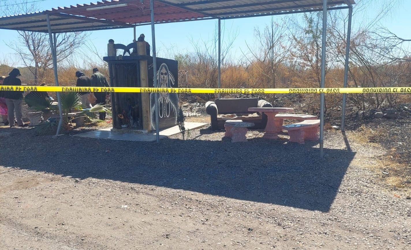WhatsApp Image 2025-02-19 at 12.54.57 PM