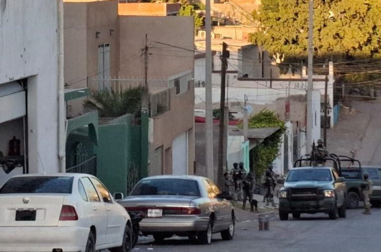 WhatsApp Image 2025-03-03 at 6.47.43 PM