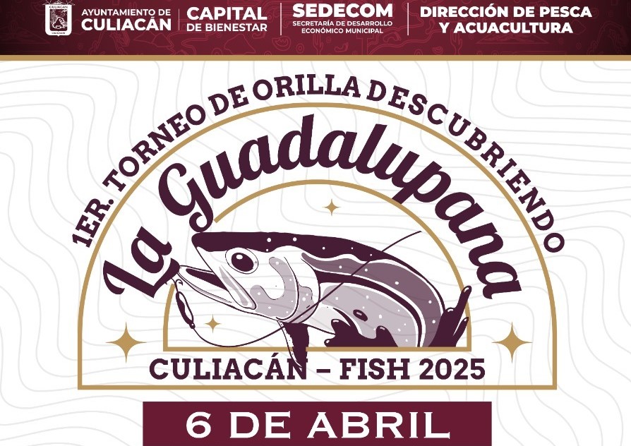 WhatsApp Image 2025-03-03 at 7.41.08 PM