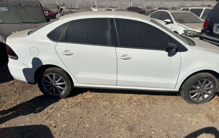 WhatsApp Image 2025-03-04 at 12.33.52 PM