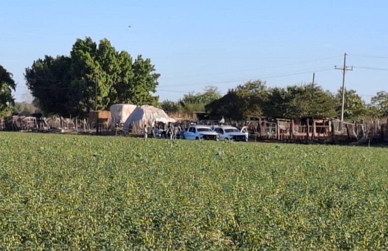 WhatsApp Image 2025-03-05 at 6.18.32 PM