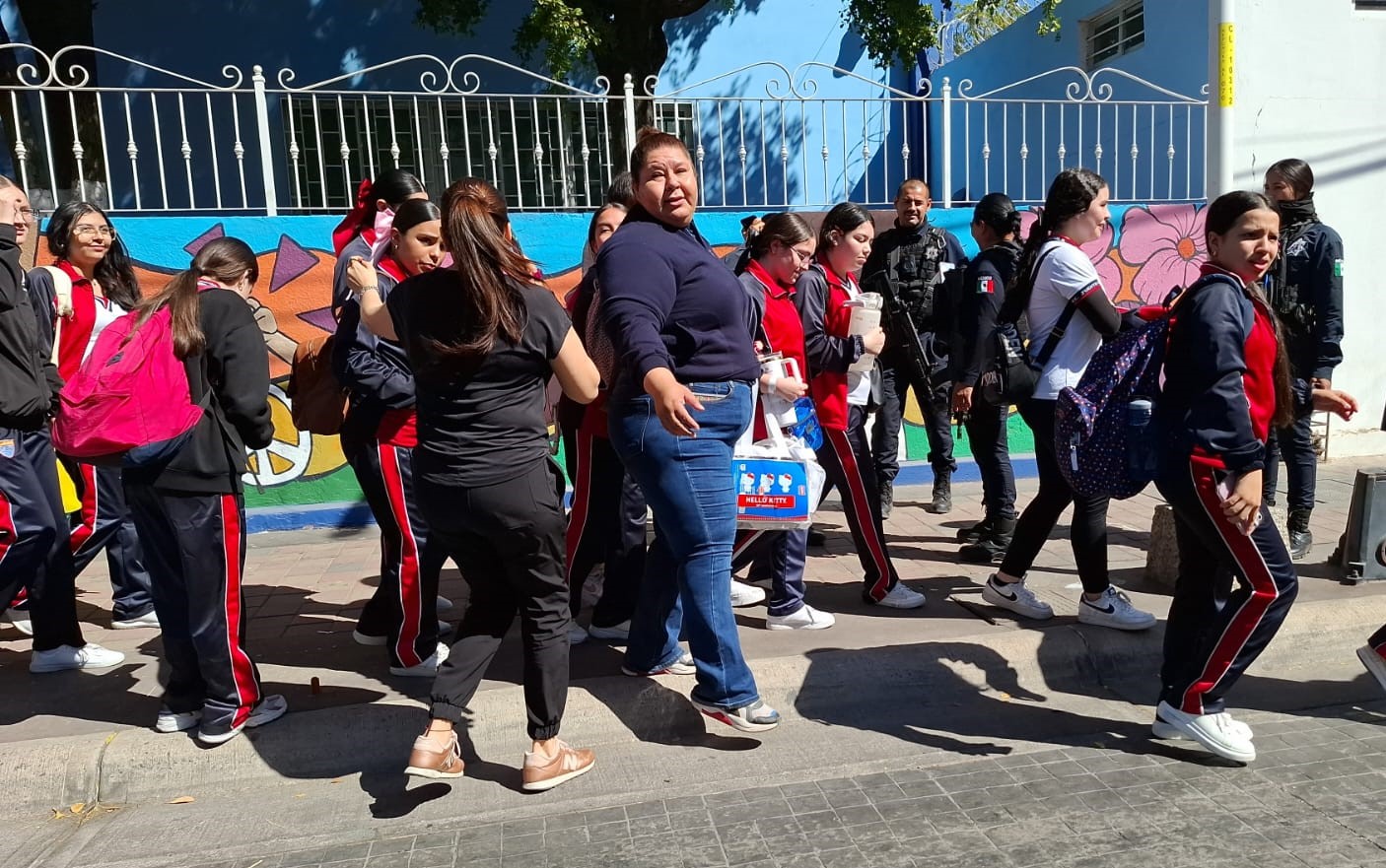 WhatsApp Image 2025-03-11 at 11.07.23 AM