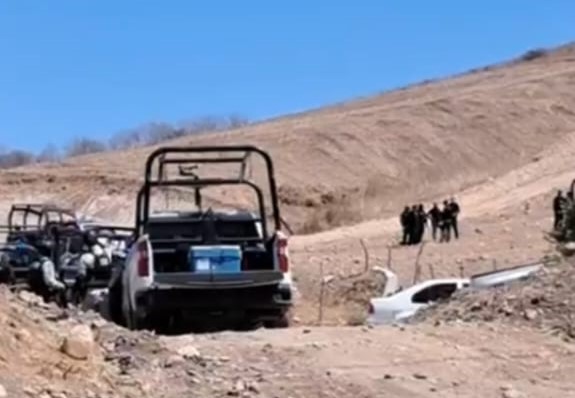 WhatsApp Image 2025-03-14 at 2.01.40 PM