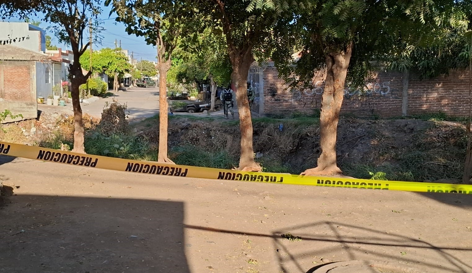 WhatsApp Image 2025-03-17 at 5.48.34 PM