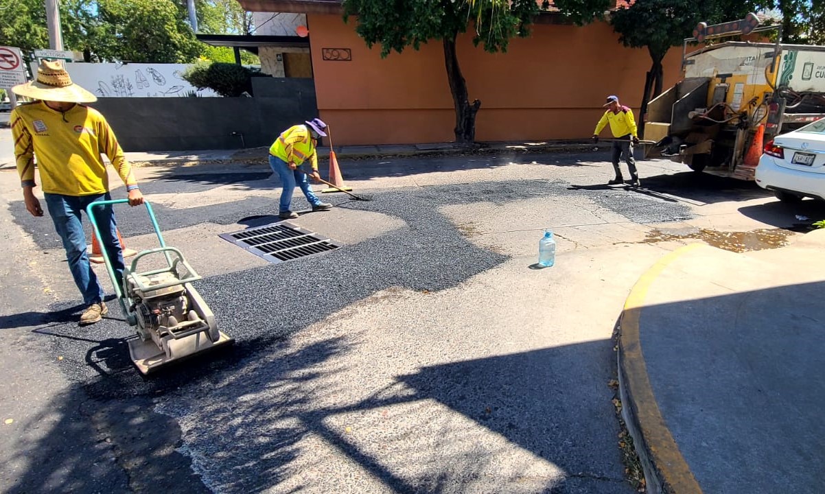 WhatsApp Image 2025-03-18 at 9.14.38 PM