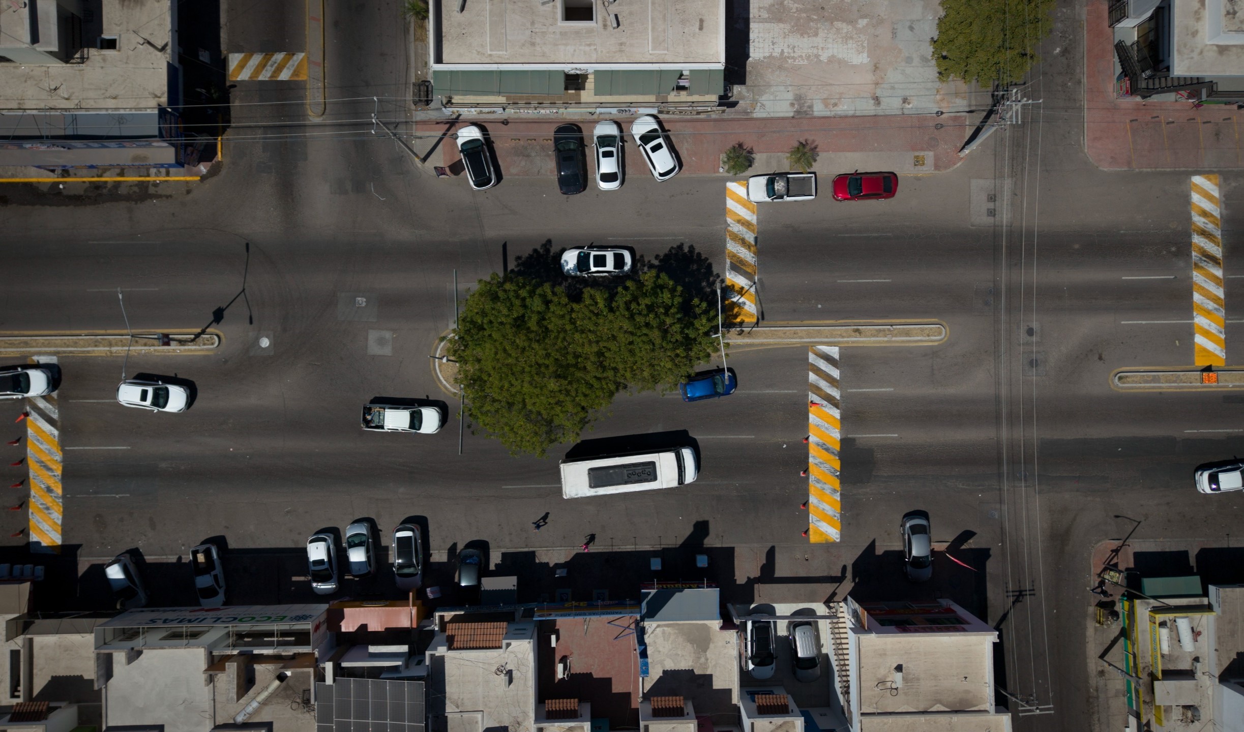 WhatsApp Image 2025-03-19 at 8.08.59 PM (1)