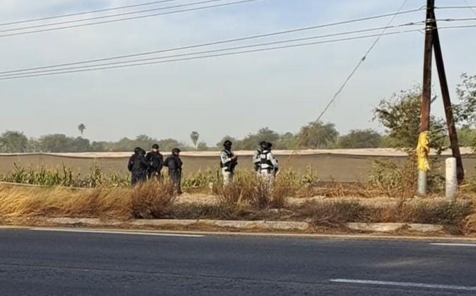 WhatsApp Image 2025-03-20 at 10.51.10 AM