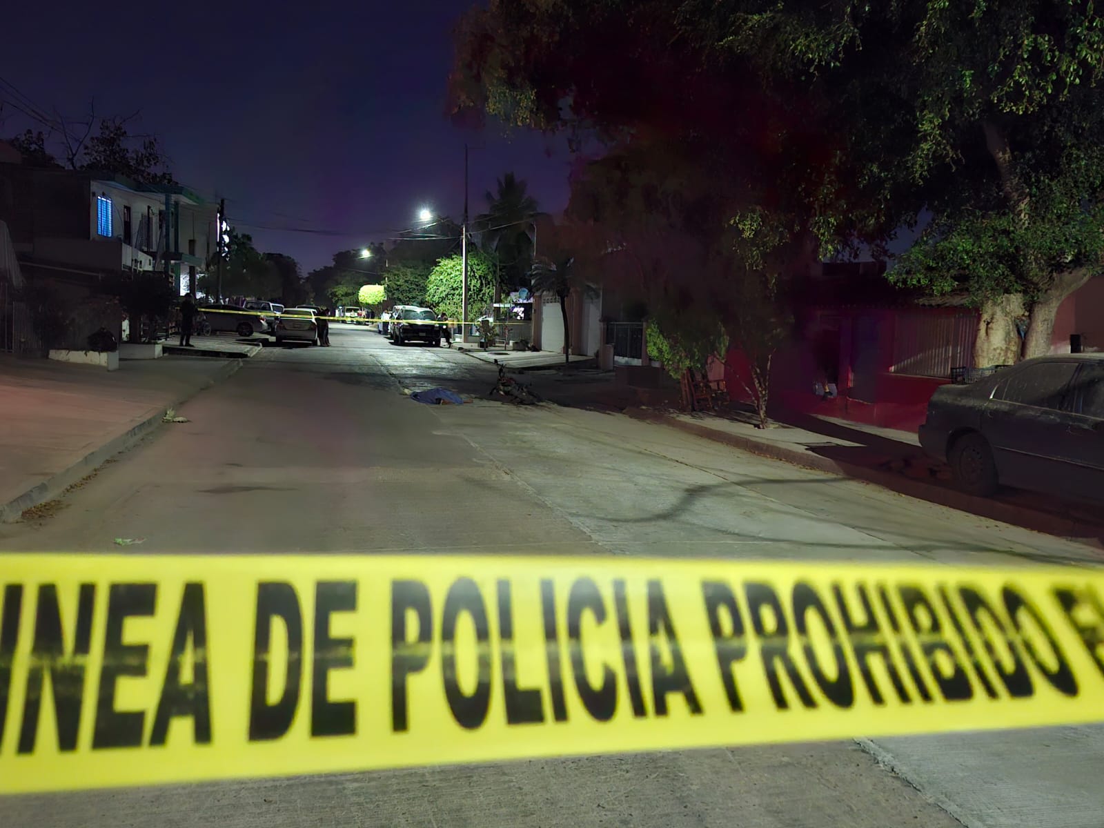 WhatsApp Image 2025-03-20 at 9.06.36 PM