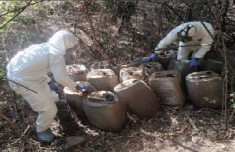 WhatsApp Image 2025-03-22 at 8.55.01 AM