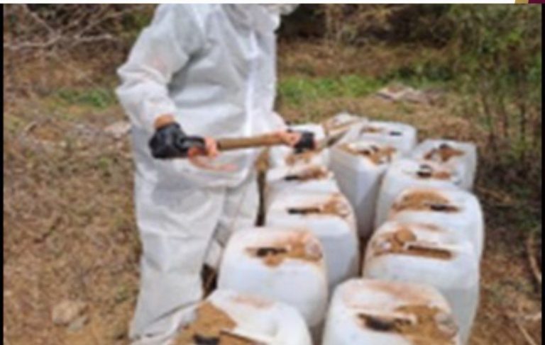 WhatsApp Image 2025-03-25 at 11.27.43 AM