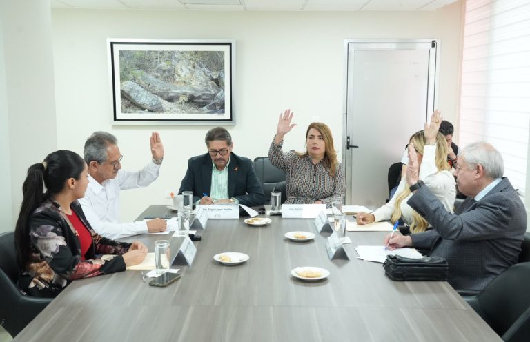 WhatsApp Image 2025-03-25 at 5.56.00 PM