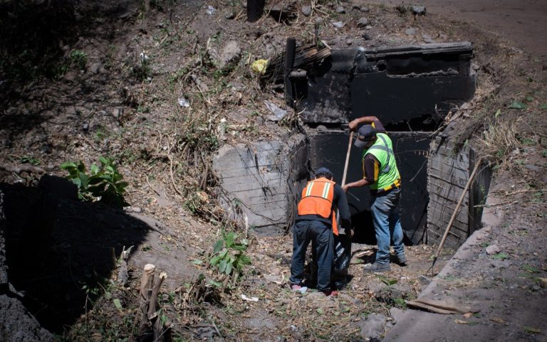 WhatsApp Image 2025-03-25 at 8.31.30 PM