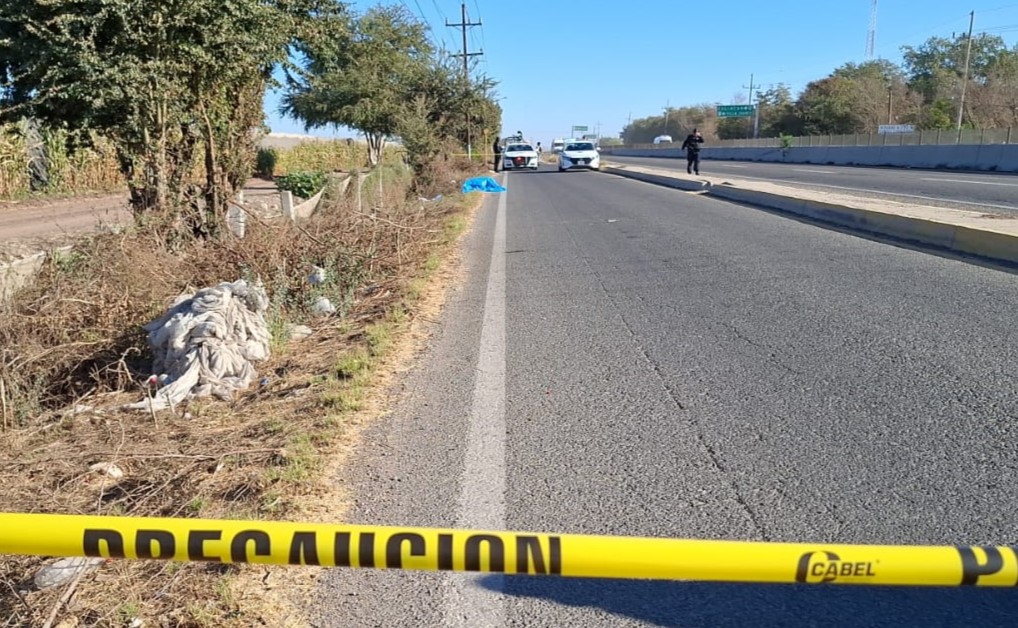 WhatsApp Image 2025-03-26 at 9.12.19 AM