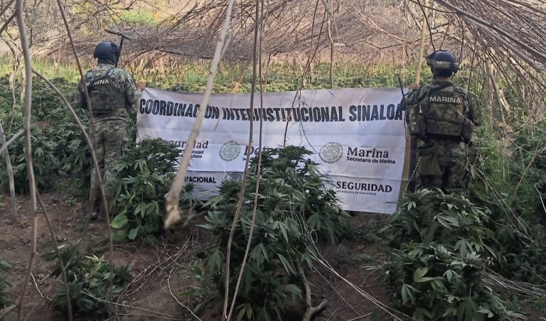 WhatsApp Image 2025-03-27 at 11.47.16 PM (1)