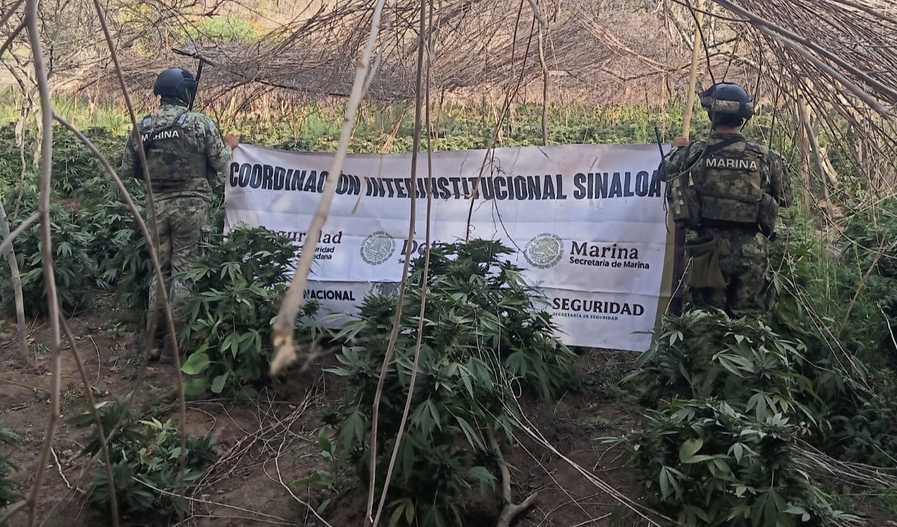 WhatsApp Image 2025-03-27 at 11.47.16 PM (1)