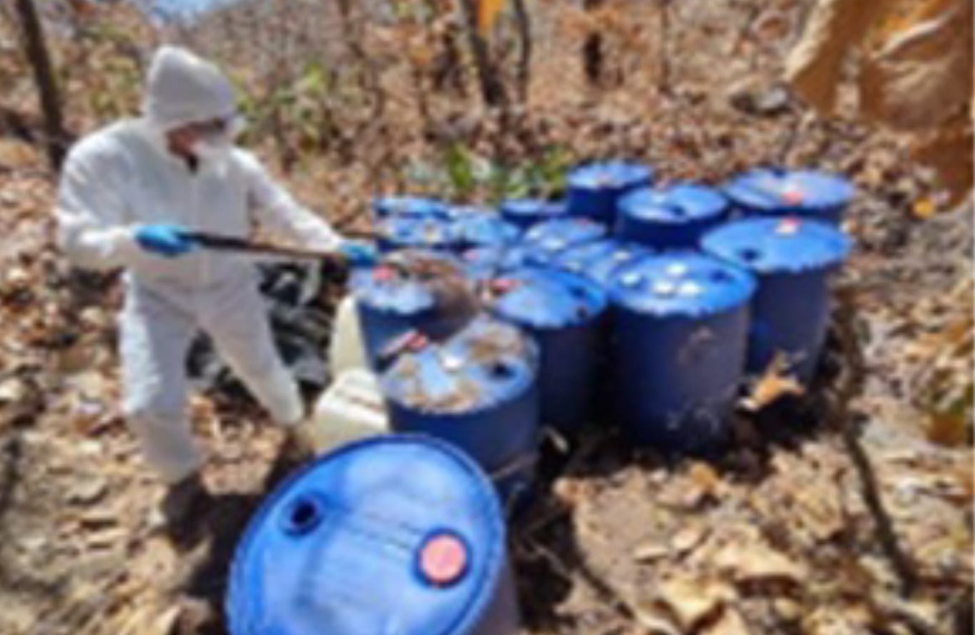 WhatsApp Image 2025-03-31 at 3.12.46 PM