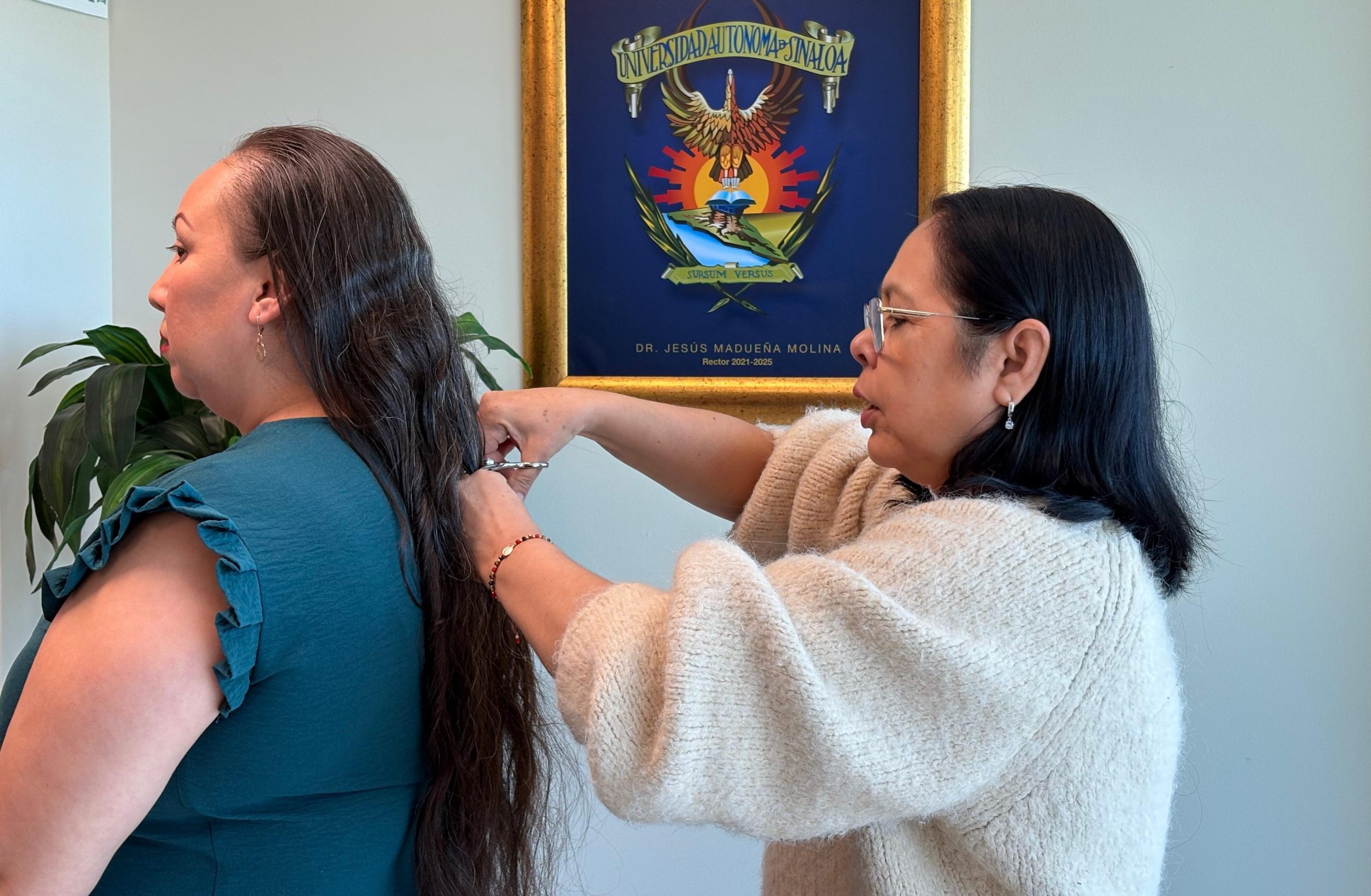 DONACIÓN DE CABELLO (2)