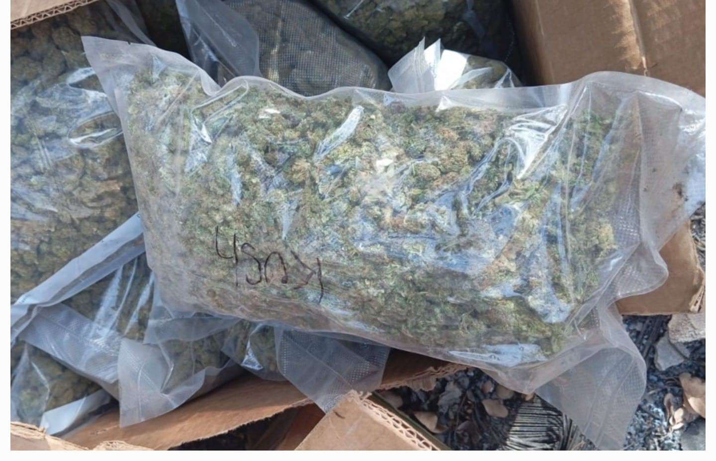 WhatsApp Image 2025-05-15 at 11.52.20 AM (1)