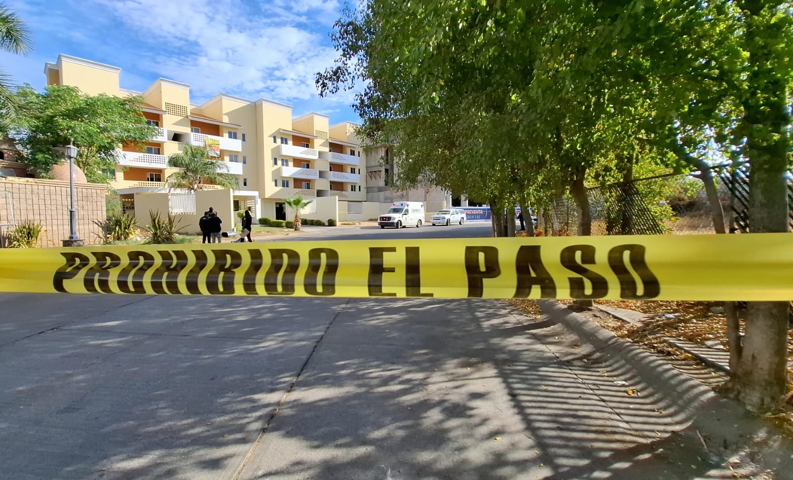 WhatsApp Image 2025-05-15 at 3.59.23 PM