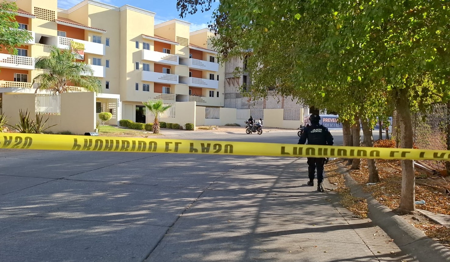 WhatsApp Image 2025-05-15 at 8.13.36 AM