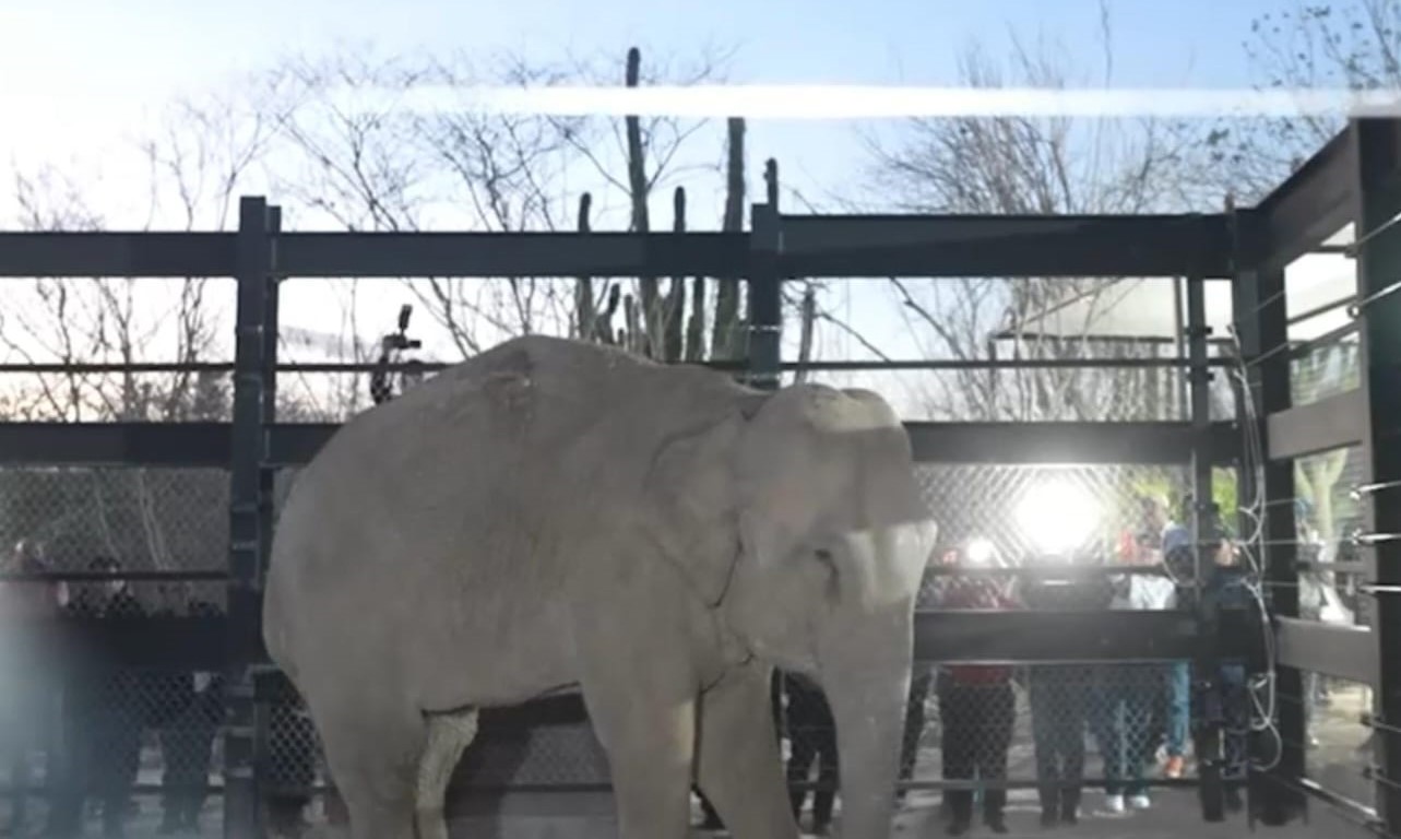 WhatsApp Image 2025-05-21 at 6.46.39 PM