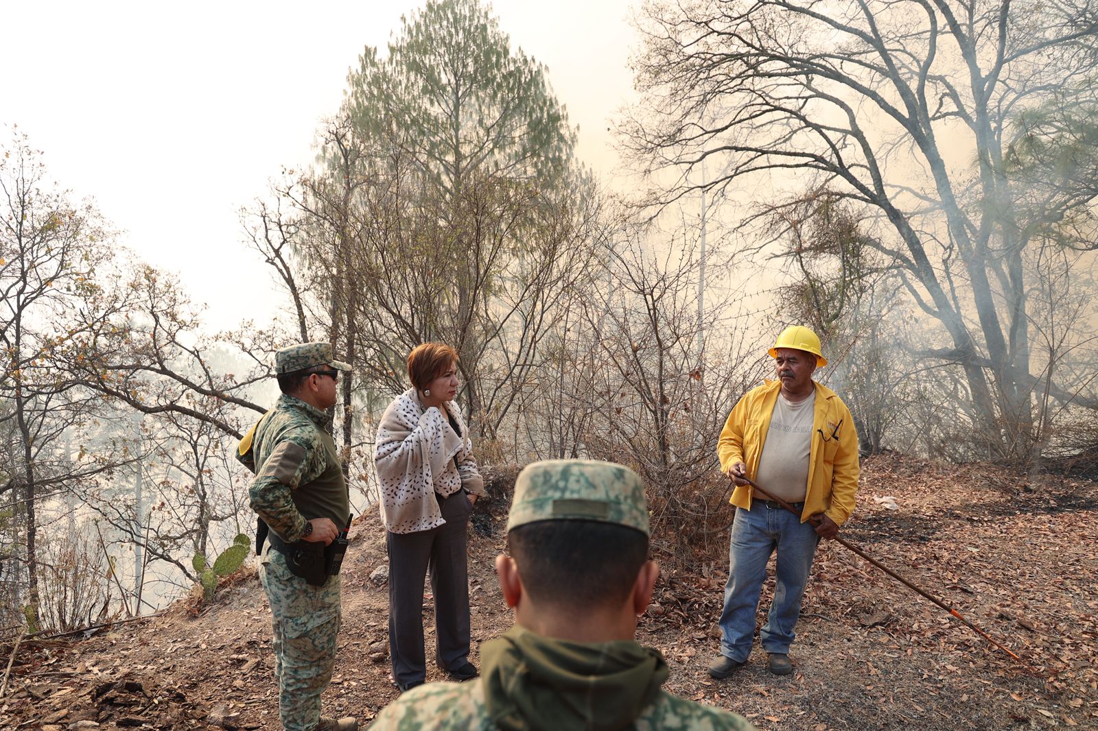 WhatsApp Image 2025-05-23 at 10.14.40 AM