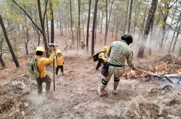 WhatsApp Image 2025-05-23 at 4.26.20 PM (1)