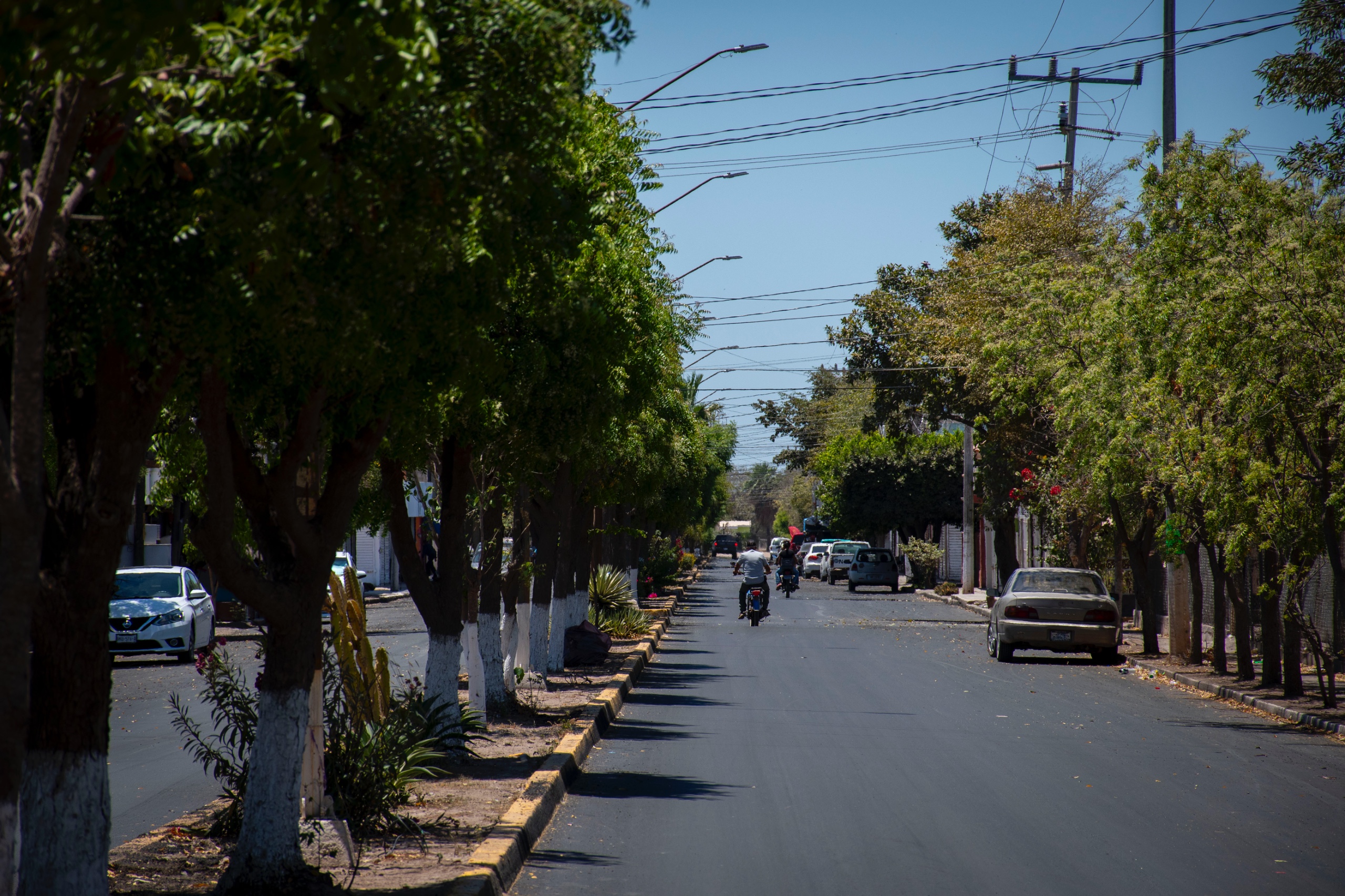 WhatsApp Image 2025-05-23 at 7.36.06 PM