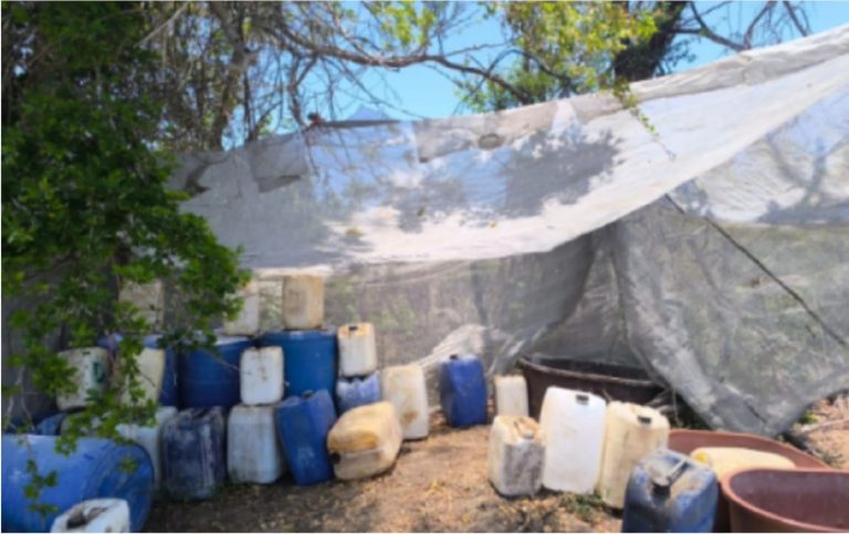 WhatsApp Image 2025-05-25 at 10.09.05 PM