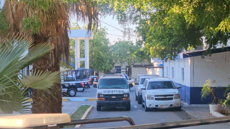 WhatsApp Image 2025-05-25 at 7.55.01 PM