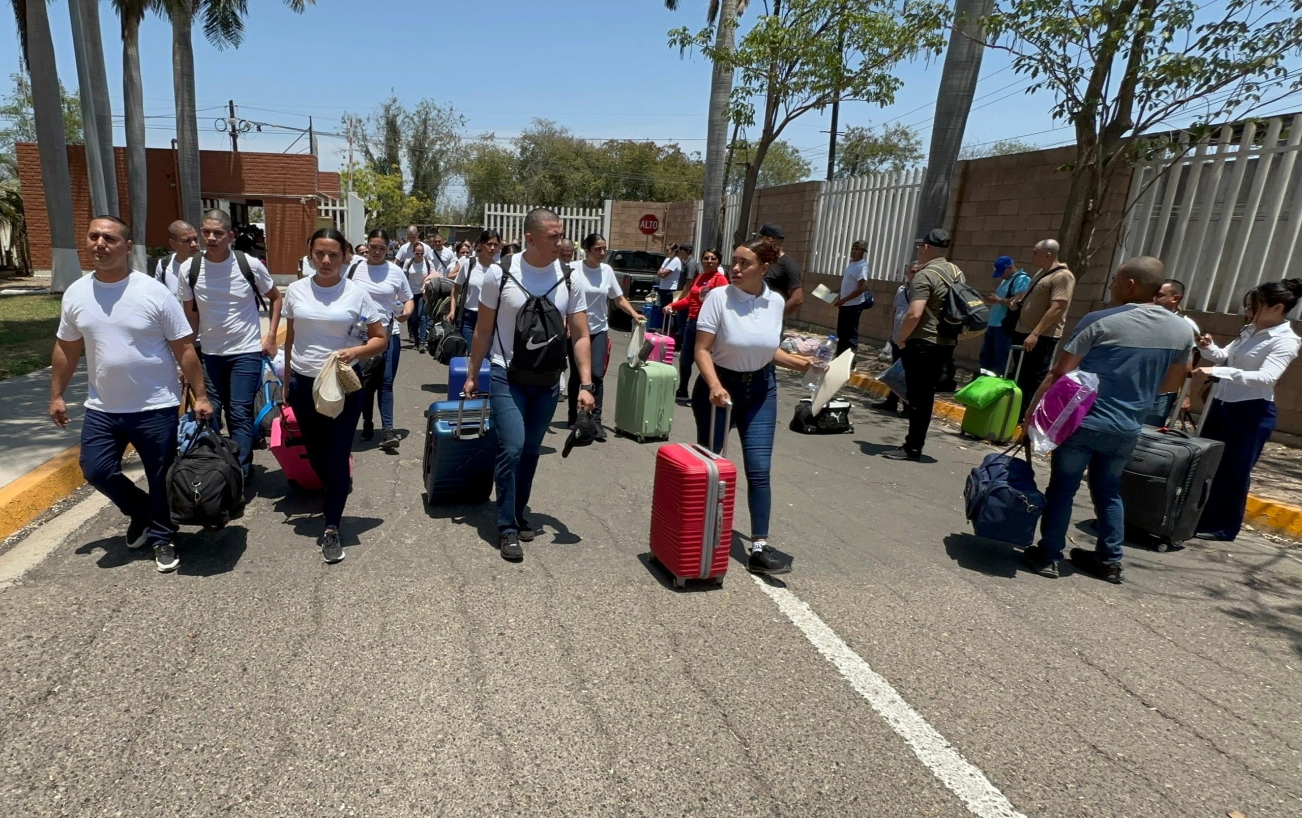 WhatsApp Image 2025-05-26 at 3.58.00 PM (1)