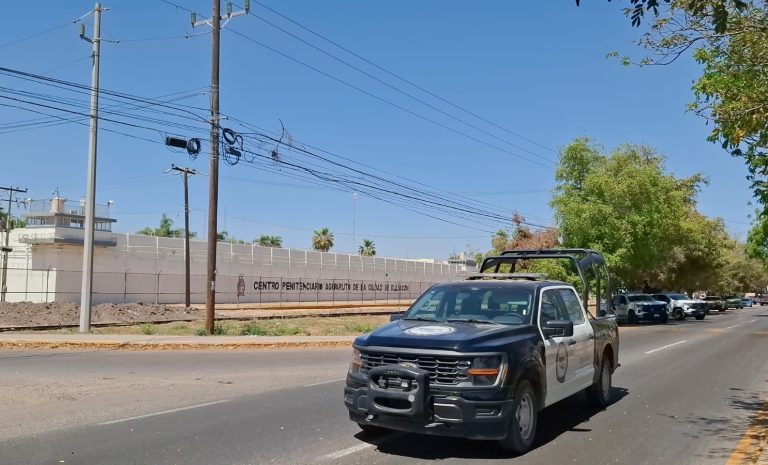 WhatsApp Image 2025-05-27 at 2.17.45 PM