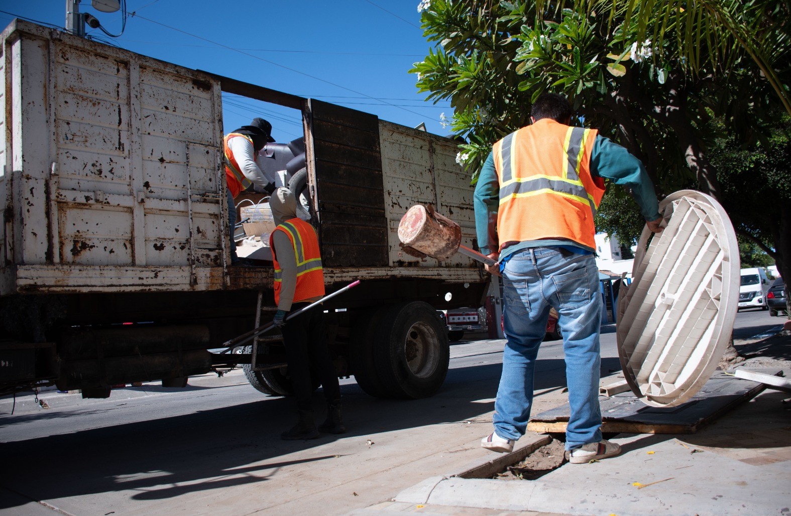 WhatsApp Image 2025-05-27 at 2.35.59 PM