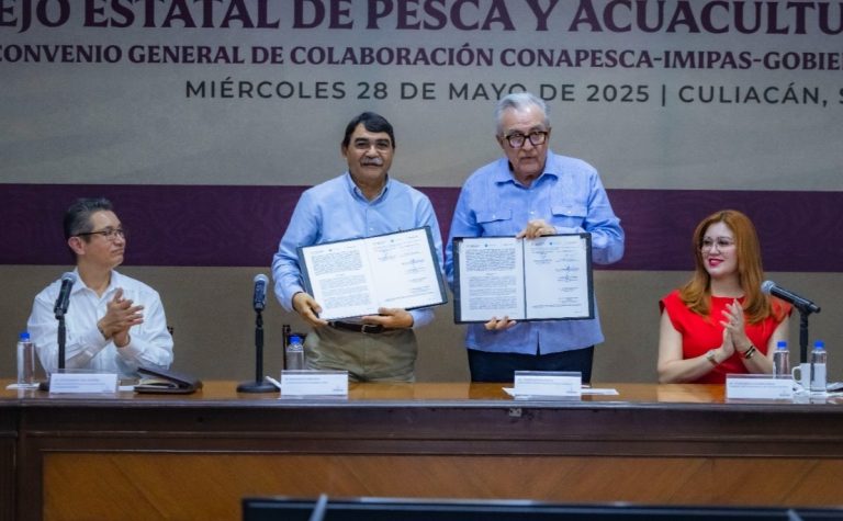 WhatsApp Image 2025-05-28 at 3.19.12 PM