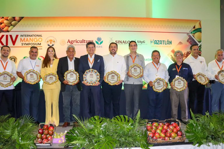 WhatsApp Image 2025-05-29 at 11.23.15 AM