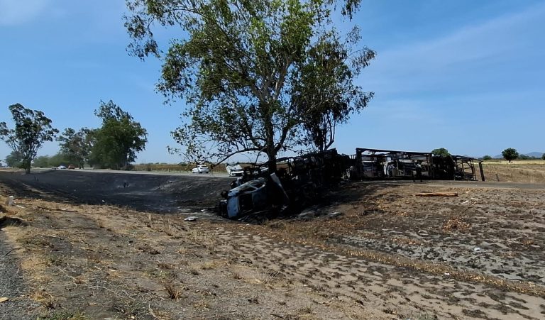 WhatsApp Image 2025-05-29 at 3.38.00 PM