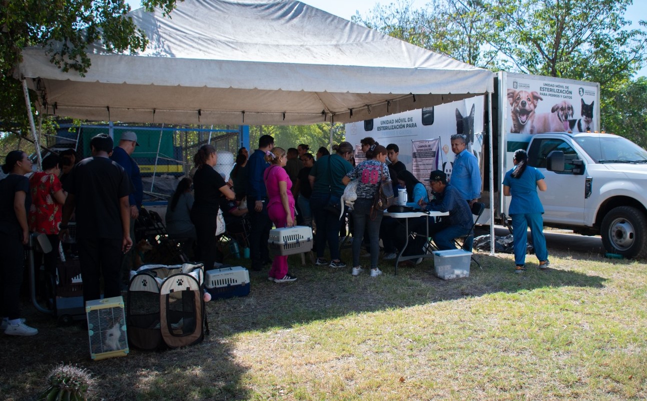 WhatsApp Image 2025-05-29 at 5.46.15 PM (1)