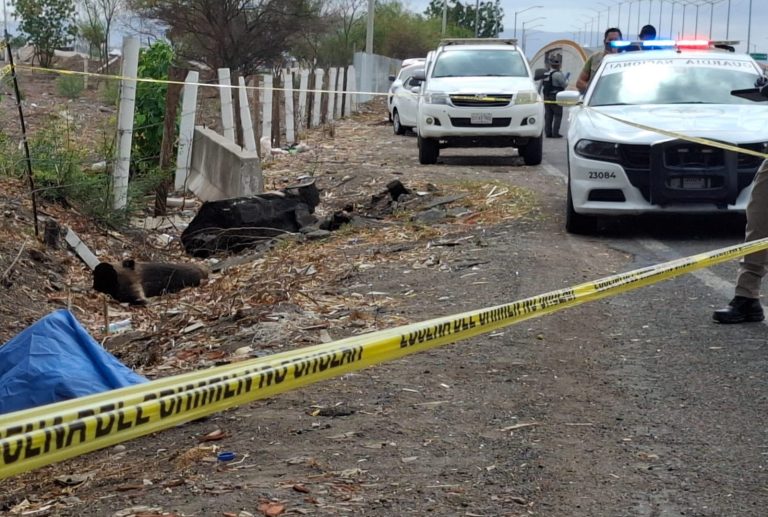 WhatsApp Image 2025-06-01 at 10.46.15 AM