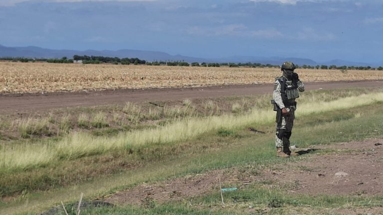 WhatsApp Image 2025-06-30 at 1.50.44 PM