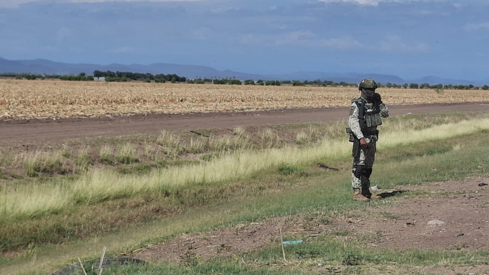 WhatsApp Image 2025-06-30 at 1.50.44 PM